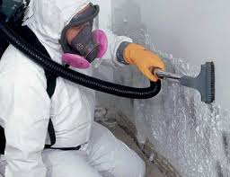 Professional Mold Remediation in Rock Island, IL